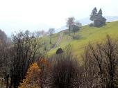 12 Tutt'intorno è autunno